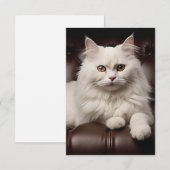 Save The Date Majestic white cat (Devant / Derrière)