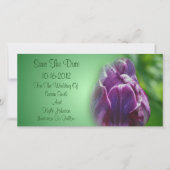 Save The Date Mariage à fleurs de tulipe violet (Devant)
