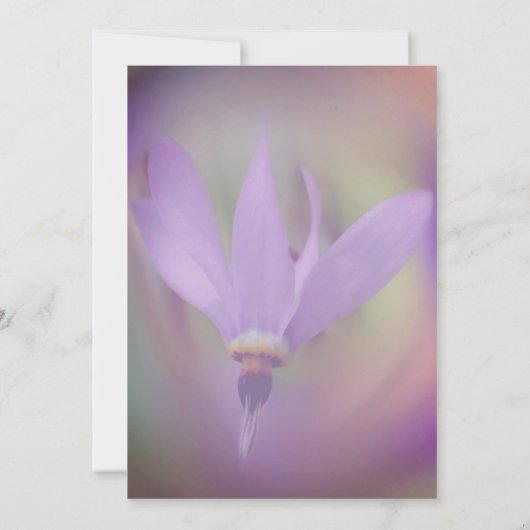 Save The Date Mariage à fleurs violettes pâles (Dos)