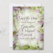Save The Date Mariage aux fleurs d'Hydrangea presque rose Sauvez (Devant)