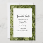 Save The Date Mariage aux fleurs d'Hydrangea vert Enregistrer la (Devant)