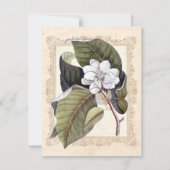 Save The Date Mariage blanc Magnolia Sud Sauvez la date (Devant)