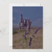 Save The Date Mariage Boho Elegant Floral Lavender été (Dos)