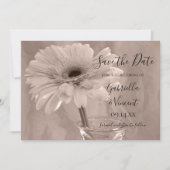 Save The Date Mariage de marguerite rose pâle Enregistrer la dat (Devant)