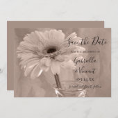 Save The Date Mariage de marguerite rose pâle Enregistrer la dat (Devant / Derrière)