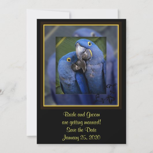 Save The Date Mariage de perroquet bleu (Devant)