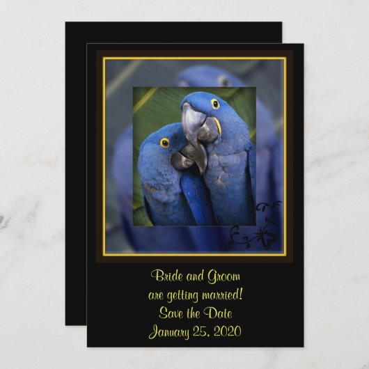 Save The Date Mariage de perroquet bleu (Devant / Derrière)