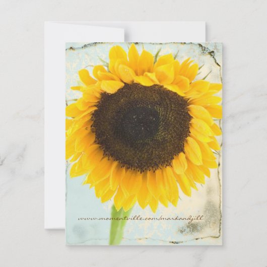 Save The Date Mariage de tournesol en Damas désorganisé Sauvez l (Dos)