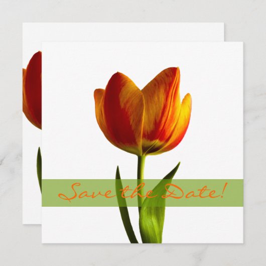 Save The Date Mariage de tulipe orange Enregistrer la date Faire (Devant / Derrière)