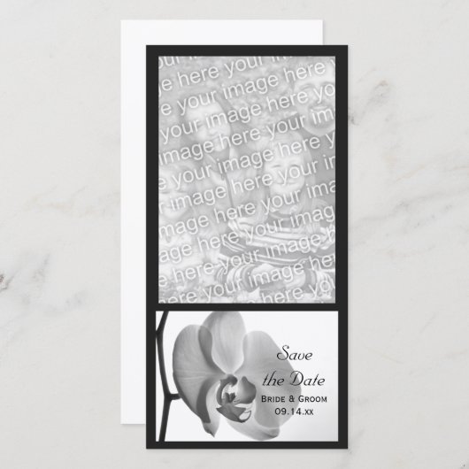Save The Date Mariage d'orchidées blanches Enregistrer la date (Devant / Derrière)