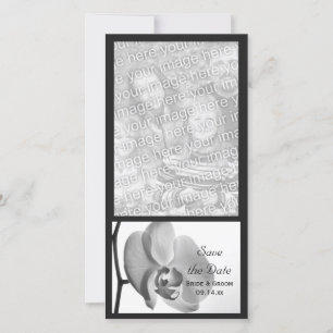 Save The Date Mariage d'orchidées blanches Enregistrer la date