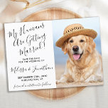 Save The Date Mariage élégant moderne photo personnalisation chi<br><div class="desc">Laissez votre meilleur chien annoncer votre mariage avec ce chien de compagnie super mignon "My Humans Are Getting Married" enregistrer les cartes de dates. Customisez avec votre photo préférée et personnalisez avec les noms, la date et l'emplacement du mariage. DROIT D'AUTEUR © 2020 Judy Burrows, Black Dog Art - Tous...</div>