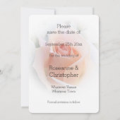 Save The Date Mariage Enregistrer La Date Peach rose Rosebud (Dos)