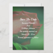 Save The Date Mariage Fleur de Rosier Rouge  (Devant)