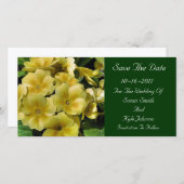 Save The Date Mariage Fleur Primrose Jaune Enregistrer La Date (Devant / Derrière)