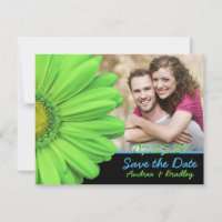 Mariage photo Green Blue Gerbera Daisy