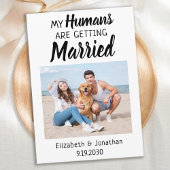 Save The Date Mariage photo moderne