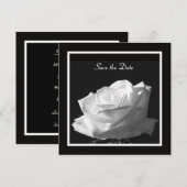 Save The Date Mariage Rose blanche Enregistrer la date Invitatio (Devant / Derrière)