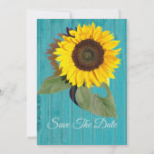 Save The Date Mariage rustique tournesol Turquoise gris chic boi (Dos)