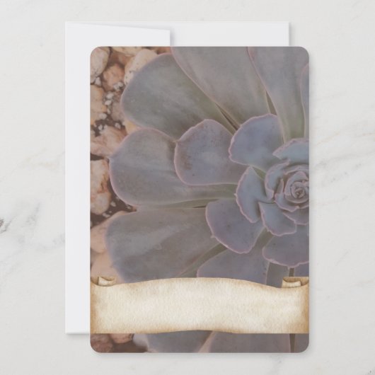 Save The Date Mariage Thème Succulent Enregistrer La Date (Dos)