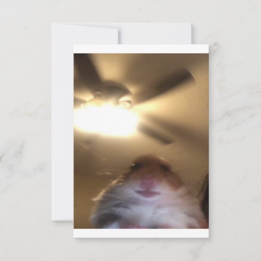 Save The Date Mème de Hamster Staring (Devant)