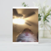 Save The Date Mème de Hamster Staring (Debout devant)