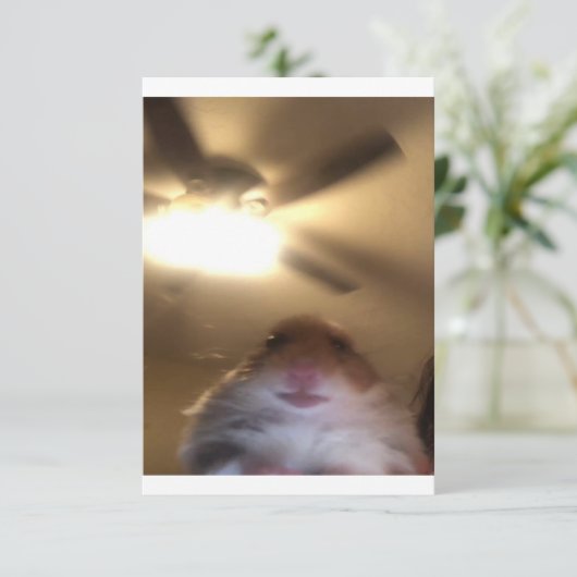 Save The Date Mème de Hamster Staring (Debout devant)