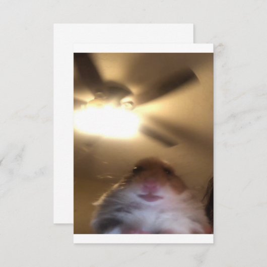 Save The Date Mème de Hamster Staring (Devant / Derrière)