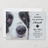 Save The Date Mes humains se marient Mariage (Devant)