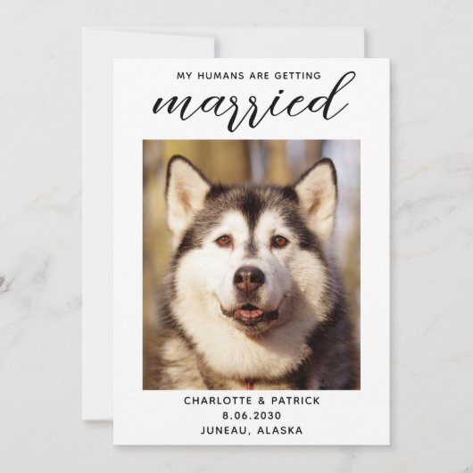 Save The Date Mes humains se marient - Mariage de chien élégant (Devant)