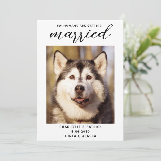 Save The Date Mes humains se marient - Mariage de chien élégant (Debout devant)