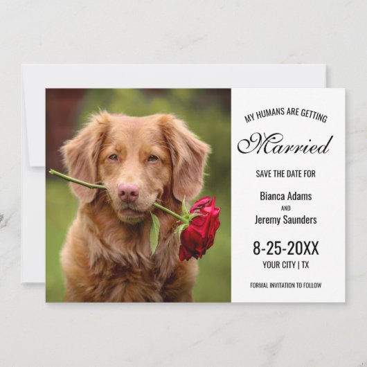 Save The Date Mes humains se marient Mariage photo de chien (Devant)