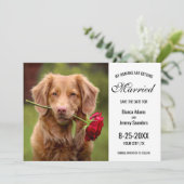 Save The Date Mes humains se marient Mariage photo de chien (Debout devant)