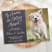 Save The Date Mes humains se marient Rustic Pet Photo Dog