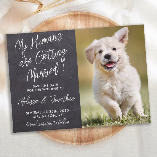 Save The Date Mes humains se marient Rustic Pet Photo Dog