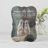 Save The Date Modifier Ce Drôle Meerkats Enregistrer La Date (Debout devant)