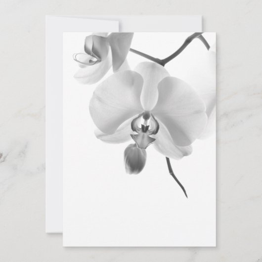 Save The Date Noir et Blanc Orchidées mariage Enregistrer la dat (Dos)