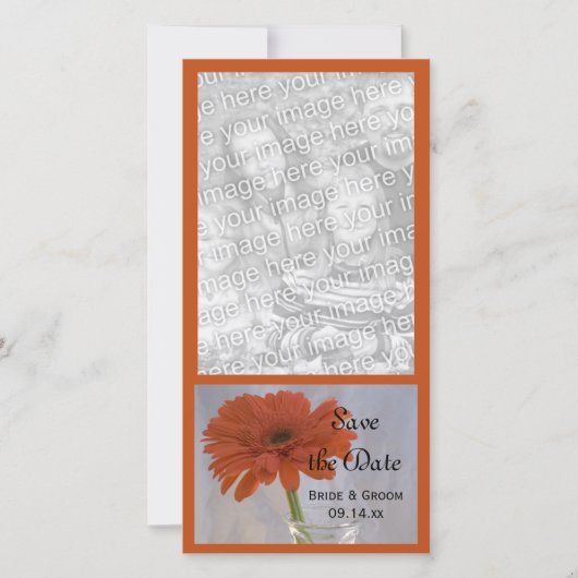 Save The Date Orange Daisy in Vase Wedding Enregistrer la date (Devant)