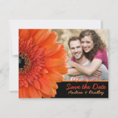 Save The Date Orange Gerbera Daisy Photo Mariage Enregistrer la  (Devant)