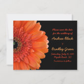 Save The Date Orange Gerbera Daisy Photo Mariage Enregistrer la  (Dos)