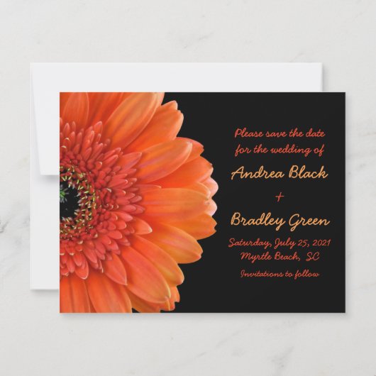 Save The Date Orange Gerbera Daisy Photo Mariage Enregistrer la  (Dos)