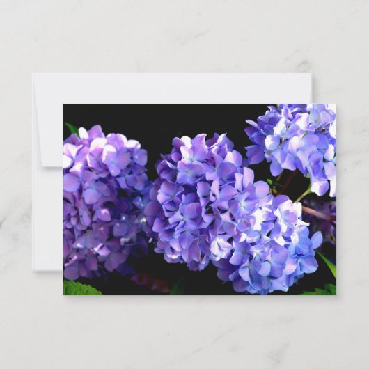 Save The Date Orangée bleu pourpre magenta fleurs pourpre rsvp (Dos)