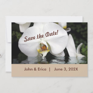 Save The Date Orchidées blanches dans l'eau plat Enregistrer la