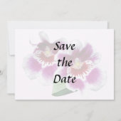 Save The Date Orchidées de Miltoniopsis rose et blanc (Dos)