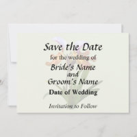 Orchidées Paphiopedilum entrelacées