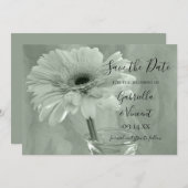 Save The Date Pale Green Tinted Daisy Wedding Enregistrer la dat (Devant / Derrière)