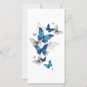 Save The Date Papillons volants bleus Morpho