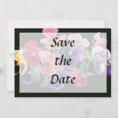 Save The Date Pastel Pansies Enregistrer la date (Dos)