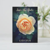 Save The Date Peachy Orange Garden Rose Flower Enregistrer la da (Debout devant)