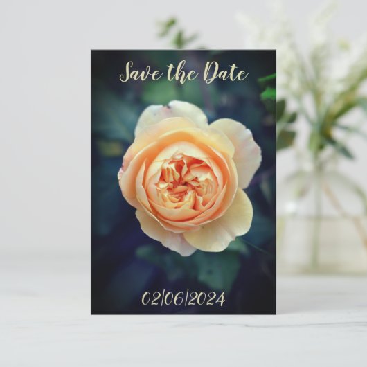 Save The Date Peachy Orange Garden Rose Flower Enregistrer la da (Debout devant)